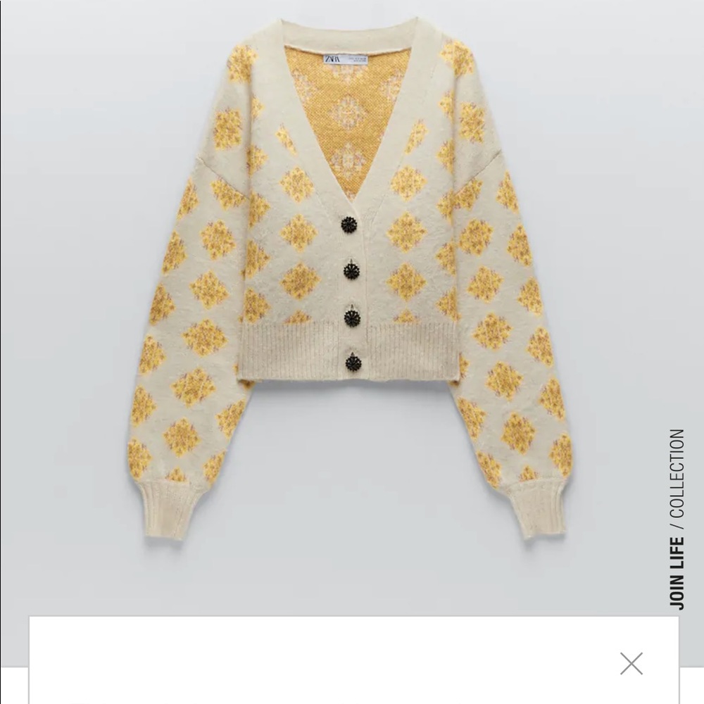 Zara NWT sweater